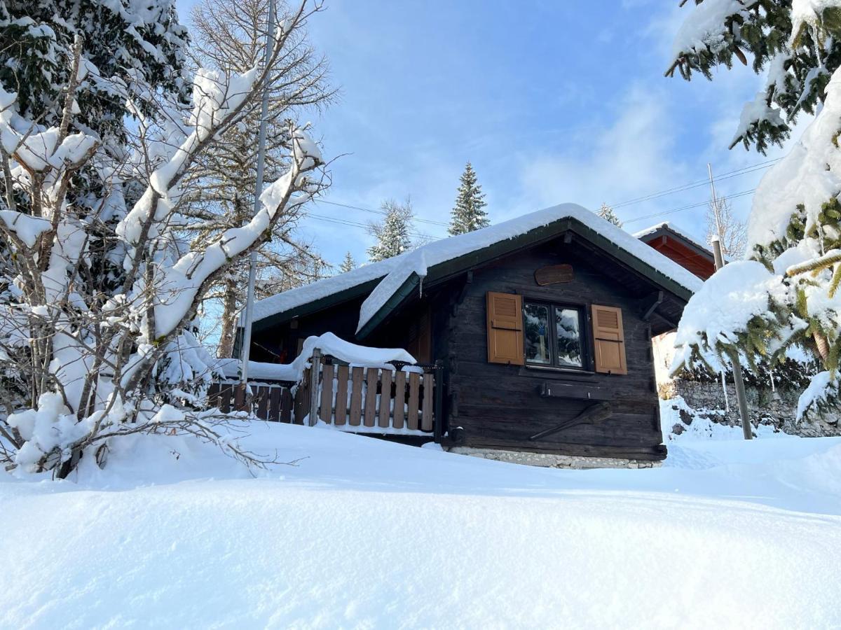 Entire Cozy Chalet In St-Cergue - 30 Min From Geneva Saint-Cergue Exterior photo