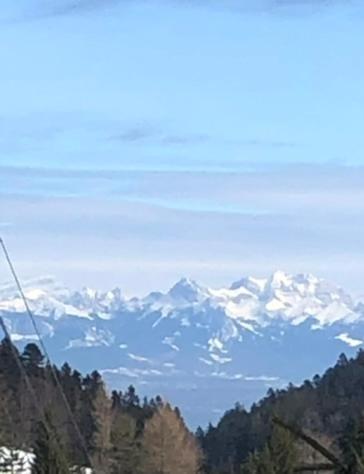 Entire Cozy Chalet In St-Cergue - 30 Min From Geneva Saint-Cergue Exterior photo