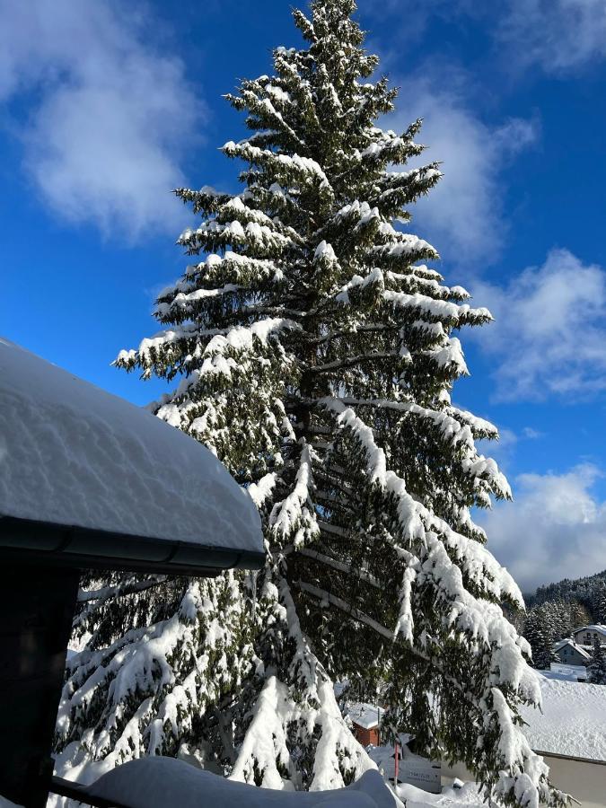 Entire Cozy Chalet In St-Cergue - 30 Min From Geneva Saint-Cergue Exterior photo
