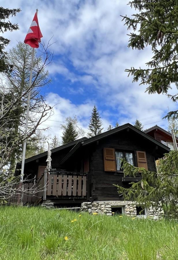Entire Cozy Chalet In St-Cergue - 30 Min From Geneva Saint-Cergue Exterior photo